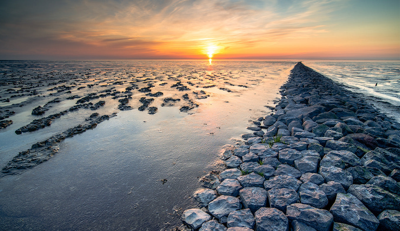 Wadden Sea Adventure – Explore the Dutch Coastal Treasure