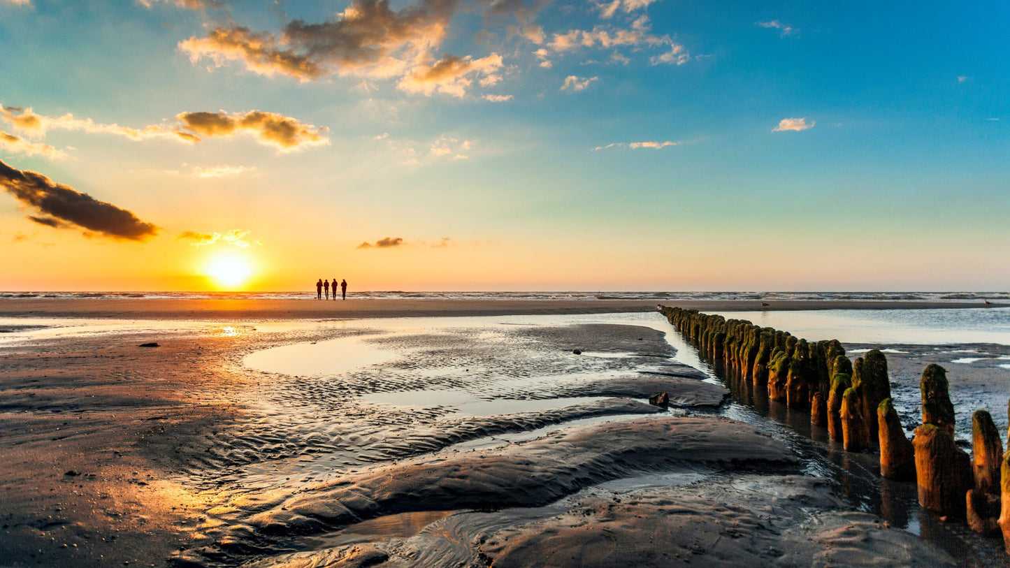 Wadden Sea Adventure – Explore the Dutch Coastal Treasure