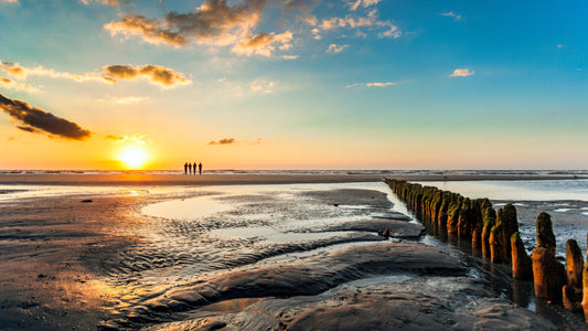 Wadden Sea Adventure – Explore the Dutch Coastal Treasure
